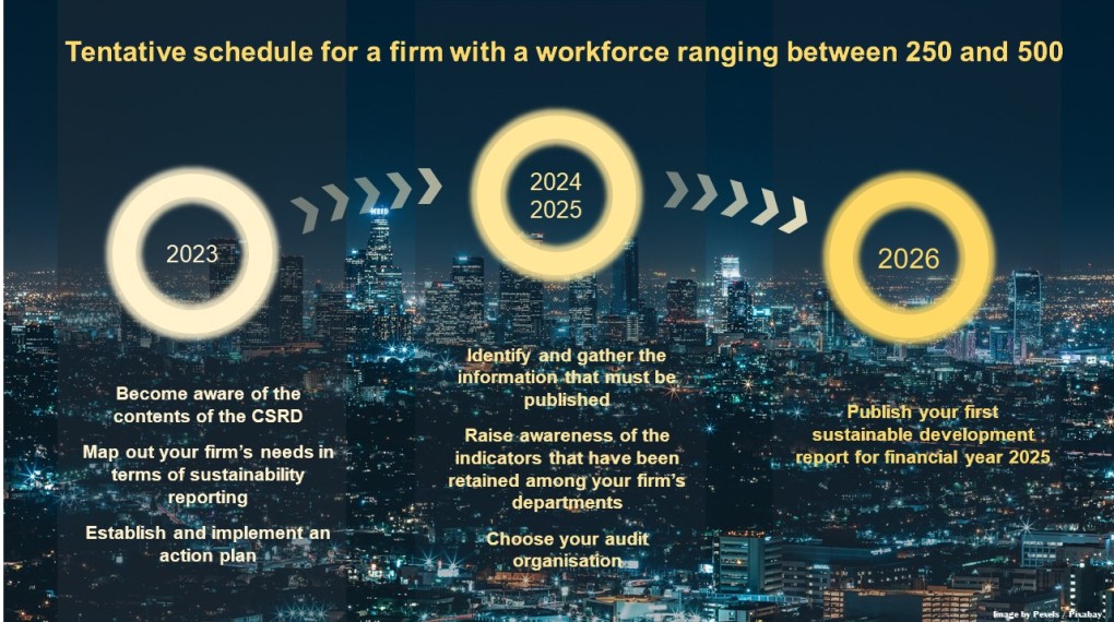 CSRD tentative schedule for a firm with workforce of 250 to 500
