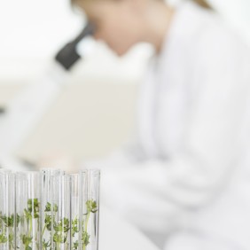 Photo de plantes vertes dans des éprouvettes et chercheuse regardant dans un microscope
