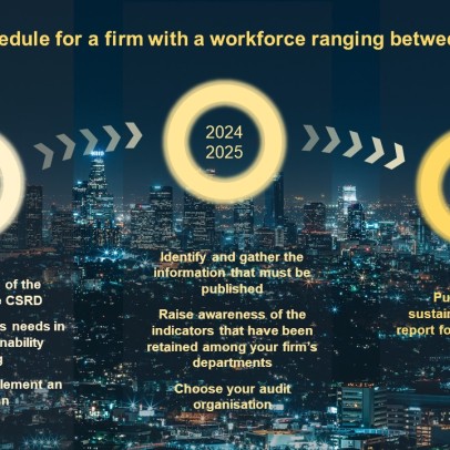 CSRD tentative schedule for a firm with workforce of 250 to 500