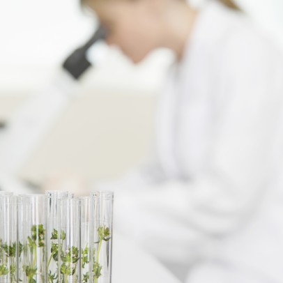 Photo de plantes vertes dans des éprouvettes et chercheuse regardant dans un microscope