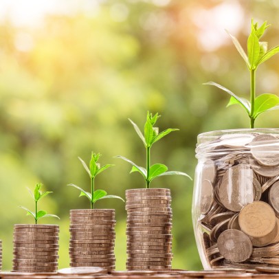 Investissement pour le climat, crédit : nattanan_23 / Pixabay