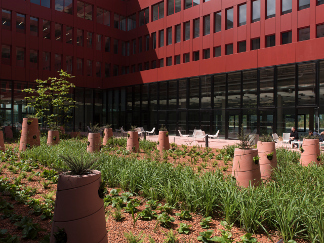 Jardin intérieur à l'EDF LAB Paris Saclay, dans l'Essonne