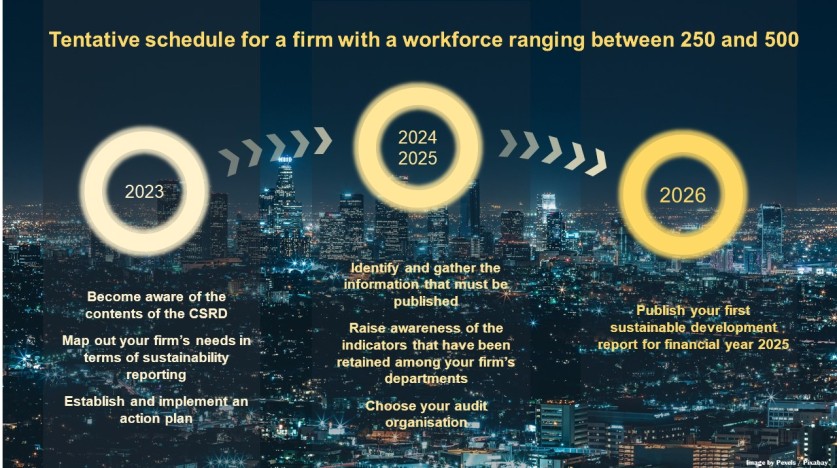 CSRD tentative schedule for a firm with workforce of 250 to 500