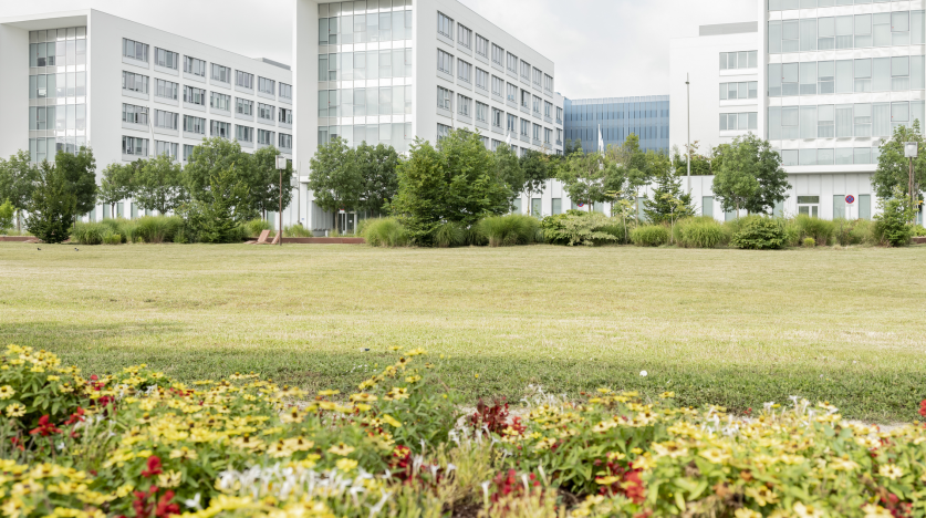 Écoquartier de la ZAC d'Andromède à Blagnac : espace vert et logements collectifs