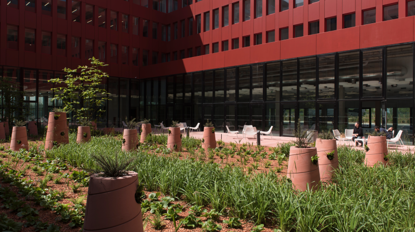 Jardin intérieur à l'EDF LAB Paris Saclay, dans l'Essonne