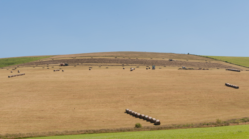 Image d'illustration de paysages ruraux dans le Tarn (81)